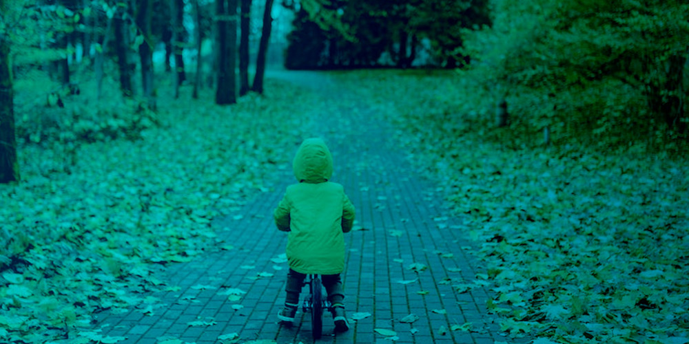 Blogafbeelding Bladerenopdeweg