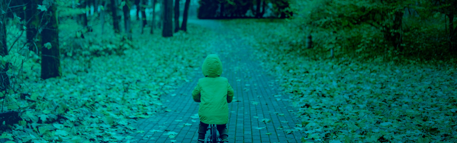 Blogafbeelding Bladerenopdeweg
