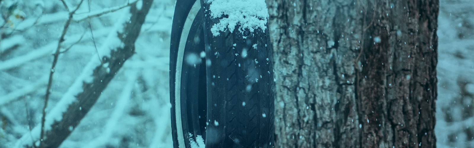 Blogafbeelding Winterbanden